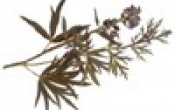 new226_small