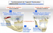 Cranio-Facial-Universe et Réhabilitation Mandibulaire Morpho-Fonctionnelle 2