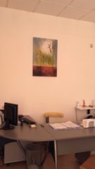 cabinet-005-copie