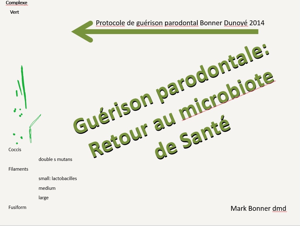 Microbiote de Santé