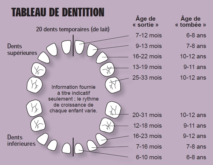 dacquin-jeunes-patient2