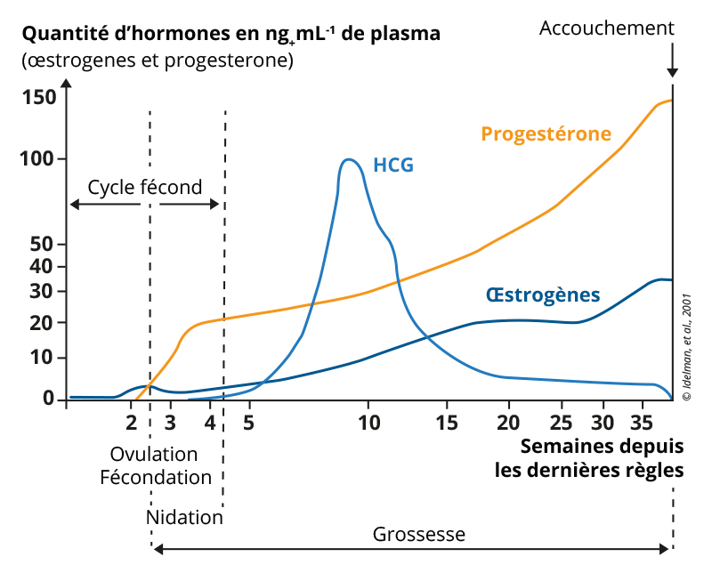 graphique-article-EBD-Marie-Dacquin