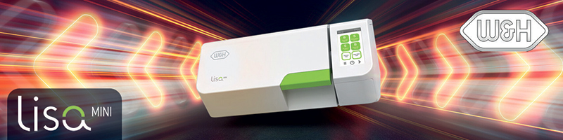 Lisa mini - footer 2024